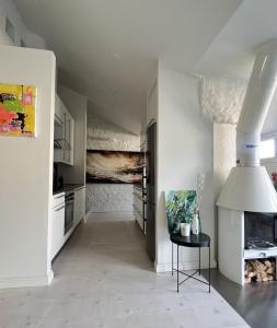 Moderni ullakkohuoneisto vuokralle