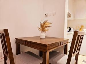B11 Studio near Formula 1 With Canal and Pool View