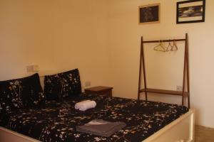Raphy Home