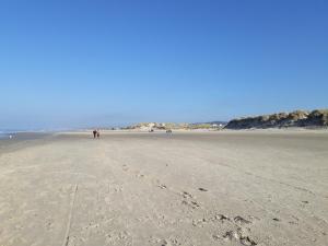 Appartements Au bord des Dunes : photos des chambres