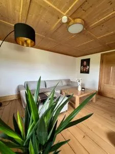 Große gemütliche Ferienwohnung in Schwarzwaldhof - Ibach