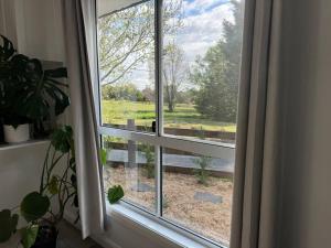 Blue Willow Cottage - Bathurst