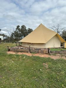 The Stockyard Experience