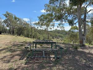 The Stockyard Experience