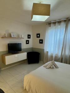 Appartements Studio Parlement 5 min : photos des chambres