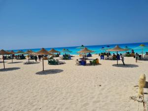 شاليه مارسيليا ١