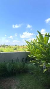 Seaside Temple Pererenan