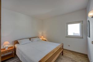 Apartment Basta