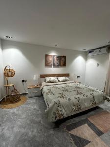 شقة انيقة بصالة وغرفة نوم - مدخل خاص