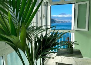 Home2Book Chic Oceanview Apartment, Mesa del Mar