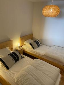 Appartements Charmant T4 duplex vue montagne : photos des chambres