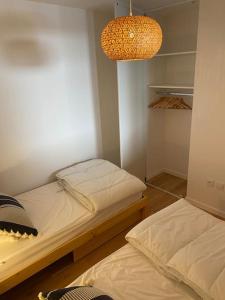 Appartements Charmant T4 duplex vue montagne : photos des chambres