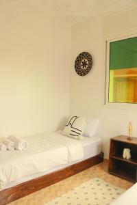 cactus surf experience