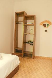 cactus surf experience