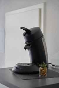 Greenhome Lörrach -Ihre Apartments im 3-Ländereck-