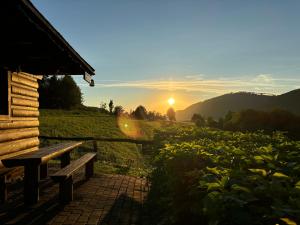 Apartmán Vŕšky Terchová