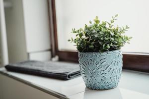 I Gemütliches 1-Zimmer-Apartment & eigenes Bad I