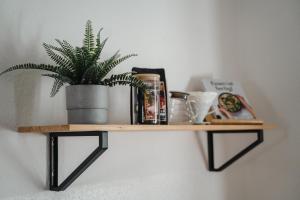 I Gemütliches 1-Zimmer-Apartment & eigenes Bad I