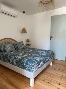 Agréable petite maison au cœur du minervois - 维拉尔泽卡巴尔代