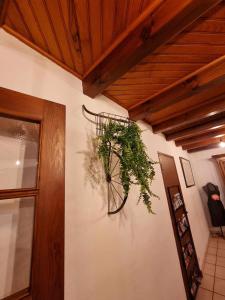 Maisons de vacances le gite du saladou- Cantal : photos des chambres