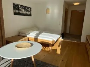 Ferienwohnung Rendl-Blick - 圣克里斯托弗阿尔贝格