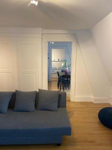 Apartments in Zelgstrasse-Zurich