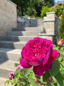 Moderne Ferienwohnung am Wald