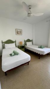 Appartement bord de plage