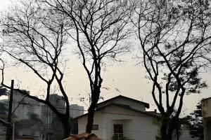 0004 - Pousada HG quarto home office single