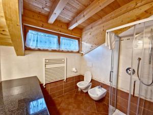 Rossetti Big by AMA Val di Fassa