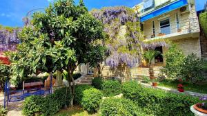 Vila Gloria - Apartmány, Bar