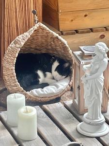 Chambre avec terrasse chez lhabitant dans appartement moderne
