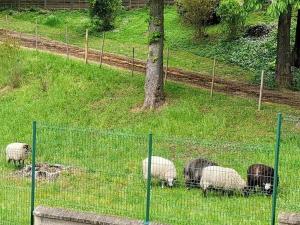 Appartements Appart luxueux 3+1 pcs avec jardin a 3 km de Paris : photos des chambres