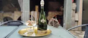 casa rural El Burrillo - Villar de Olalla