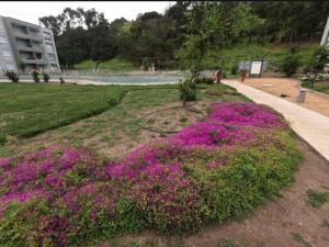 Departamento Papudo 5 p 2 hab