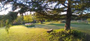 Les Terrasses du Carlat, Le Logis, Demeure raffinée, situation idéale Dordogne, vues, piscine