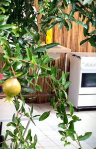 Large Blue Villa in Abha الفيلا الزرقاء