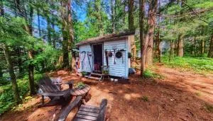 The Stabbin Cabin on Grant Island, Brantingham Lake - HotTub, Boat, Pet Friendly - Forestport