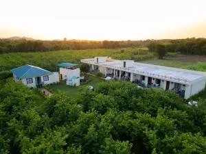 Baaghini, Homestay - Pālī