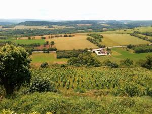 Maisons de vacances Gite Le Delice : photos des chambres