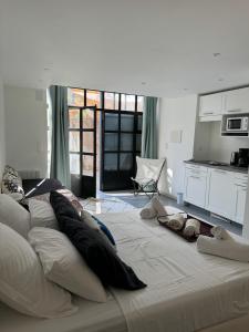 Château de la Sybille, vue imprenable sur le Canigou et les Orgues dIlle sur Têt