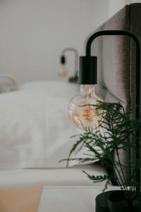 Apartamenty Willa przy parku