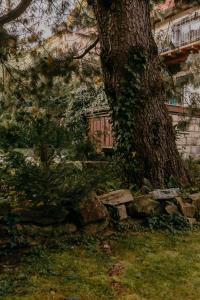 Apartamenty Willa przy parku