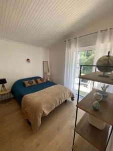 Maison familiale dans les pins à 500m de la plage