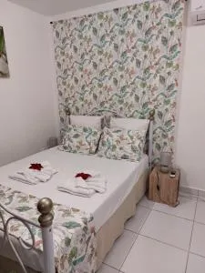 Le petit cocon douillet - Morne-à-lʼEau