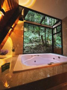 Rosa Cabana de Canela