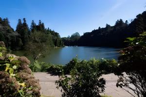 Rosa Edifício Bela Vista