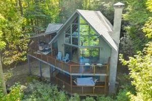 Blue Ridge Pkwy View and Deck Brevard Home! - Cedar Mountain