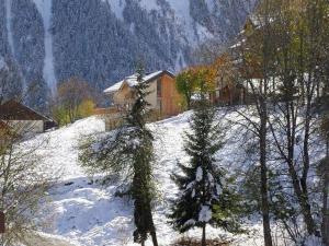 Chalets Chalet moderne, spacieux et proche des pistes - 12 pers. - FR-1-267-259 : photos des chambres