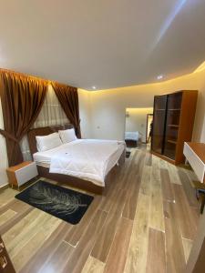 استديوهات فندقيه علي عباس العقاد الرئيسيStoudios hotel